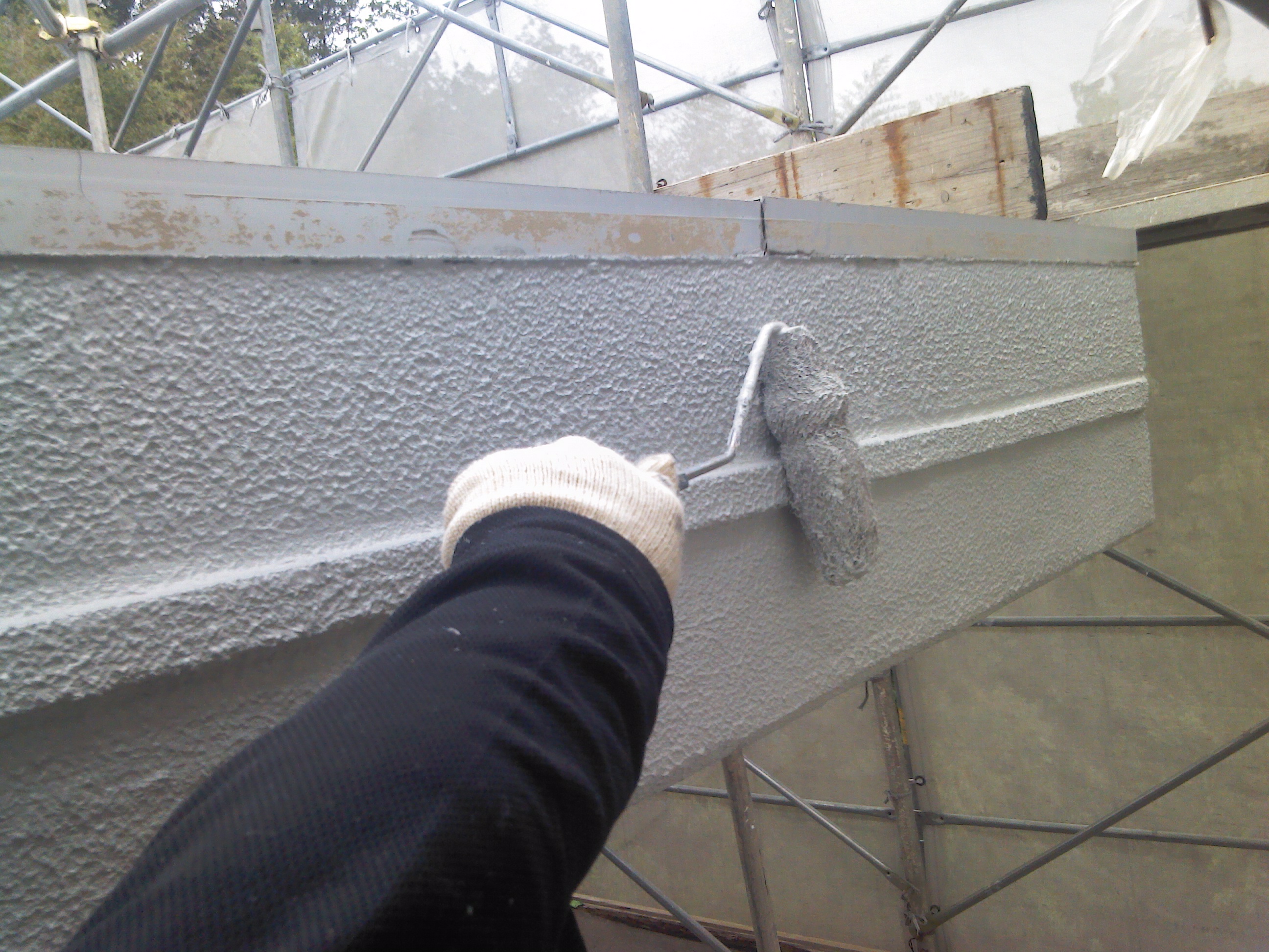 P1000110.JPG image